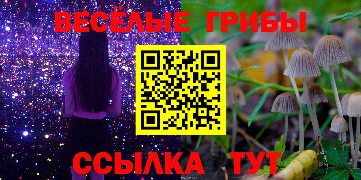 Псилоцибиновые грибы ЛСД Рубцовск
